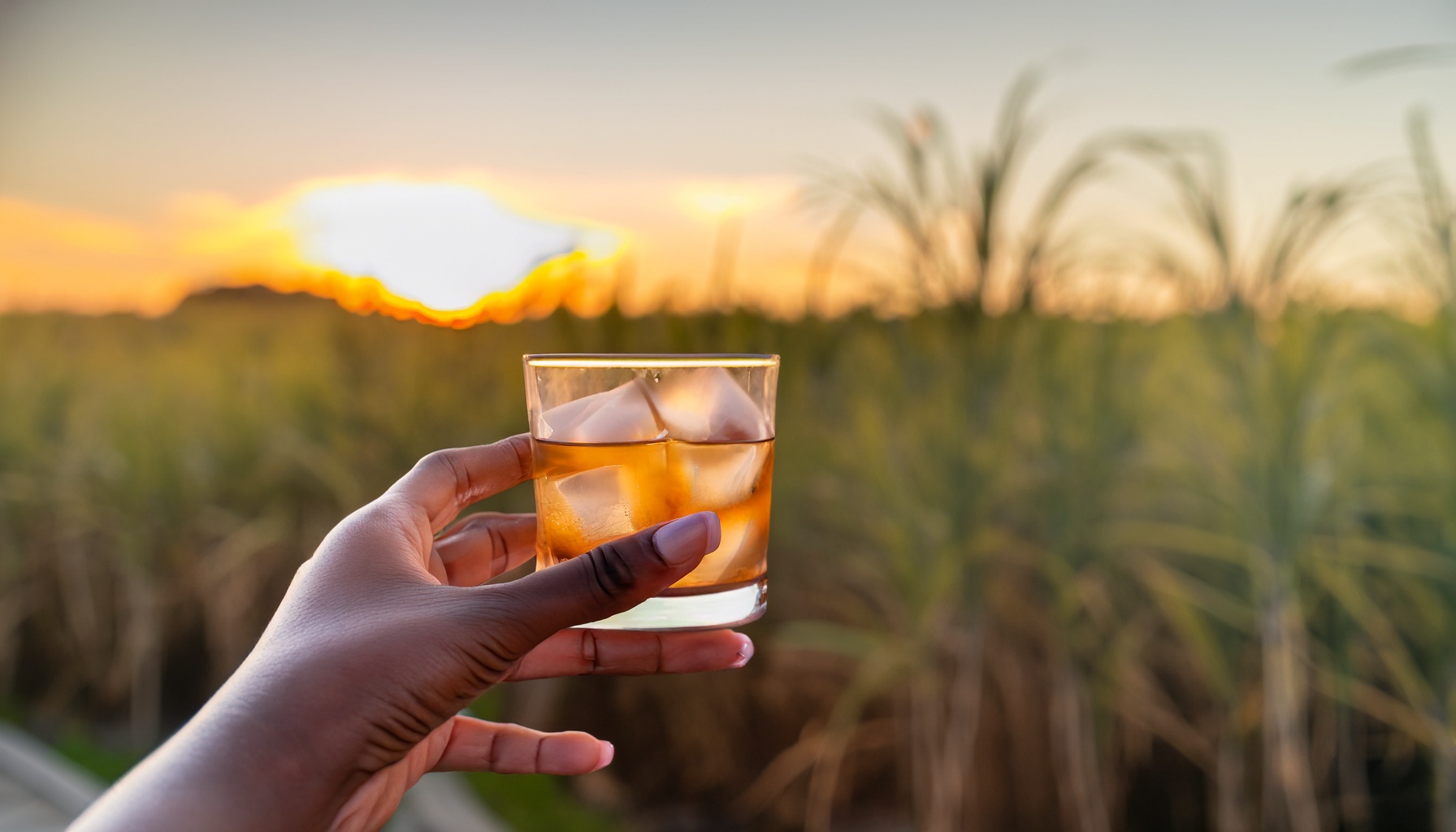 Queensland Rum Day